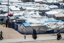تحاول الحكومة الدنماركية إحضار خمسة أطفال من مخيمات اللاجئين التي يسيطر عليها الأكراد في سوريا. إلا أن أمهاتهن ترفض إرسال الأطفال إلى