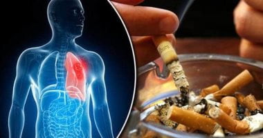 دراسة : التدخين سبب رئيسي في الإصابة بأمراض القلب وزيادة معدل الوفيات