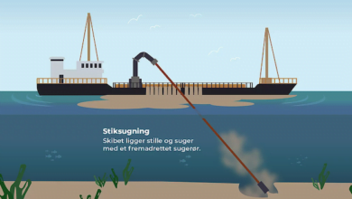 يؤذي سحب الرمال من خليج Køge البيئة البحرية بالطبع. وذلك نتيجة ما يتسبب به من ثقوب ضارة بالبيئة السمكية. لكن ما موقف الأحزاب المختلفة