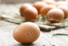 تم العثور على مواد PFAS التي يشك في تأثيرها على الخصوبة داخل البيض العضوي. وقد عثرو عليه في هذا البيض في جميع أنحاء الدنمارك.