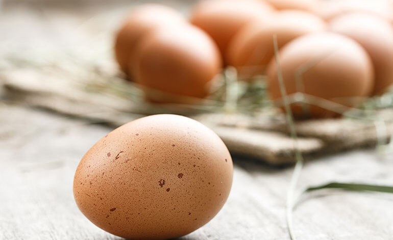 تم العثور على مواد PFAS التي يشك في تأثيرها على الخصوبة داخل البيض العضوي. وقد عثرو عليه في هذا البيض في جميع أنحاء الدنمارك.