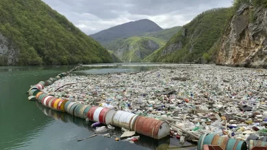 لقد لحق الكثير من الأذى بنهر البلقان الخلاب نتيجة الإهمال الكبير لمكب نفايات مجاور له. حيث امتلأ النهر بالنفايات عوضاً عن كونه نقطة جذب
