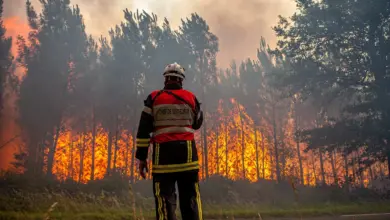 فرق الطوارئ تستجيب لحريق الغابات في بلدية تيستد
